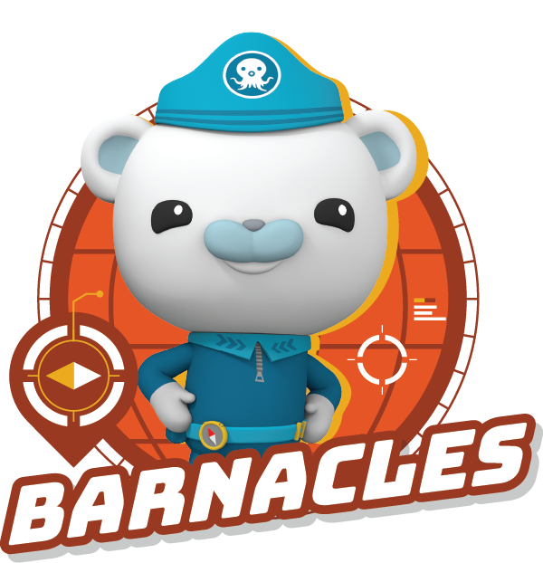 barnacles